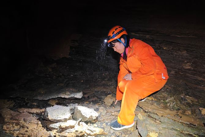 Shuanghe Cave panda fosili