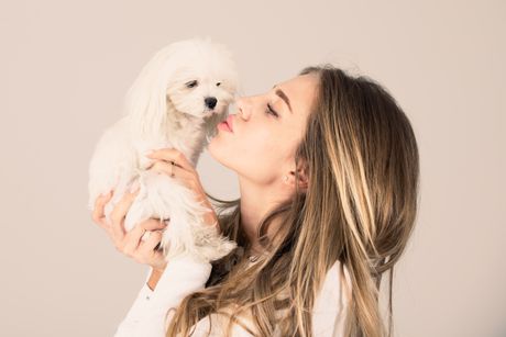 Bolonjezer bolonjski pas