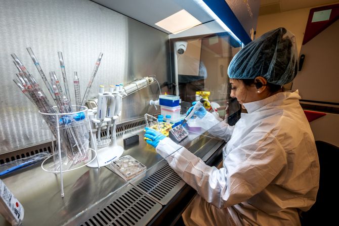 Naučnici uzgajaju mini ljudske mozgove za napajanje računara