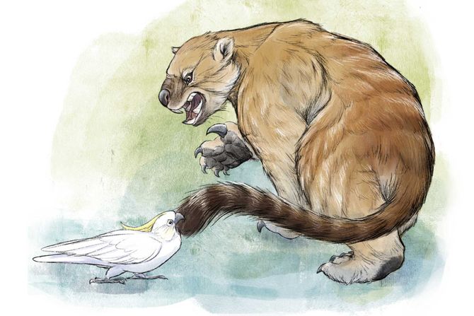 Thylacoleo carnifex, lav torbar