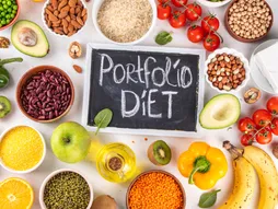 Portfolio dijeta LDL holesterol