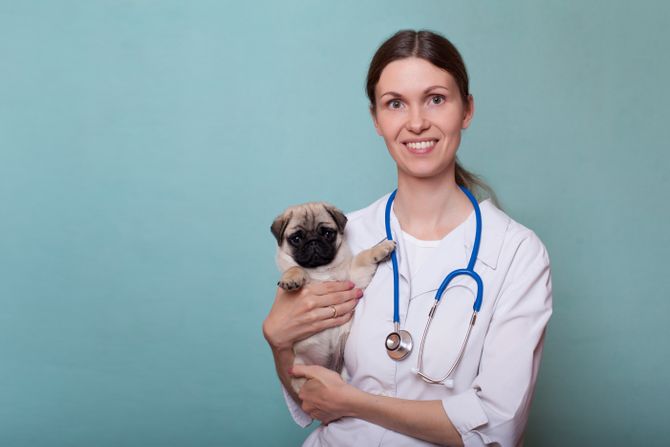 Veterinarka