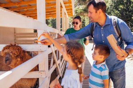 Deca, roditelji i životinje