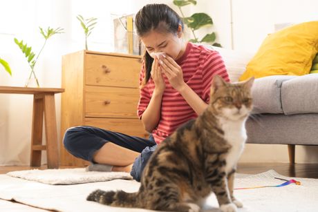 Alergije na ljubimce