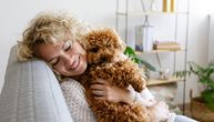 Kako da 2026. bude najbolja za vas i ljubimca: 9 odluka koje će promeniti vašu svakodnevicu