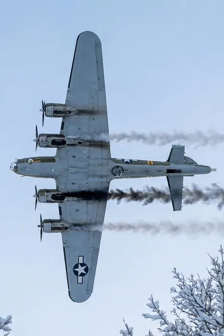 B-17 bombarder, Brown Stigler incident 1943