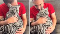 Snimak džinovske mačke izazvao lavinu komentara: Da li se SAVANA baš ovako ponaša ili nešto nije u redu?