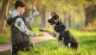 Komande "ostani", "dođi" i "ostavi" uvek će zbunjivati vašeg psa ukoliko ne primenite ovaj KLJUČNI TRIK