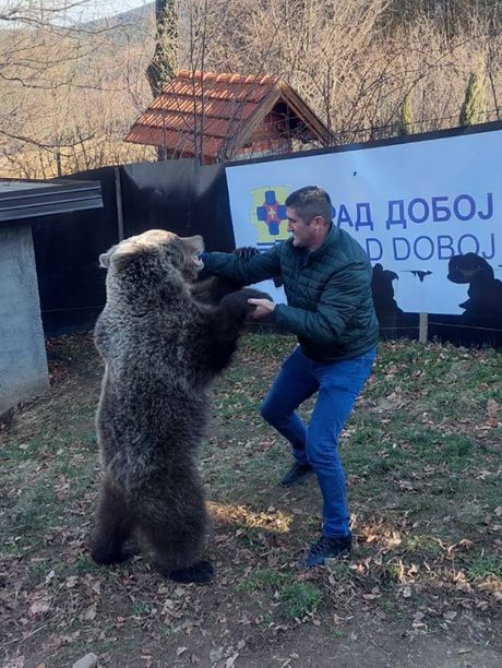 Doboj medvedice Maša i Ljubica