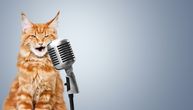 Vlasnica pita, mačka odgovara i peva baladu iz najgledanijeg filma na svetu: Ne verujete? Snimak je tu