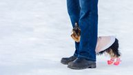 Napolju ledara, mrznete se, a vaš pas ne žuri: Pet DOKAZANIH TRIKOVA koji će ga naterati da brže obavi nuždu