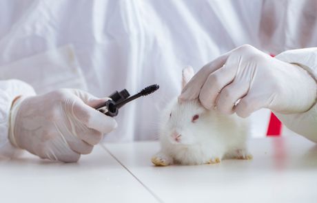 Testiranje proizvoda na životinjama