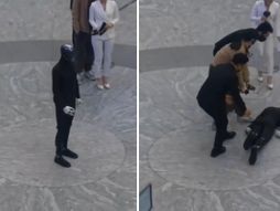 Xpeng, humanoid robot IRON