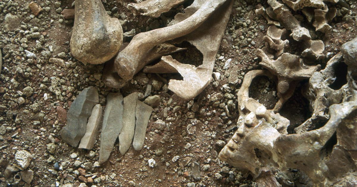 Bear Attacked, Mutilated, and Killed Teenager: Mystery of the 27,500-Year-Old 'Little Prince' Solved
