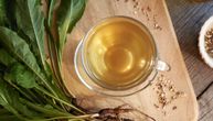 Koje zdravstvene koristi krije čaj od maslačka: Manje šećera u krvi, jači imunitet i podrška mikrobiomu