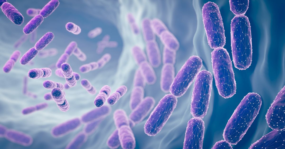 Misteriozne kiseline održavaju štapićast oblik bakterija sputavajući odmetnuti enzim