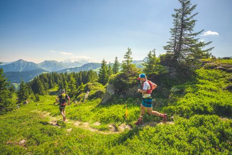 Martini-Komb a Šamoni