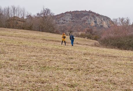 Noć buljine, Sokobanja, Rtanj, Bubo bubo