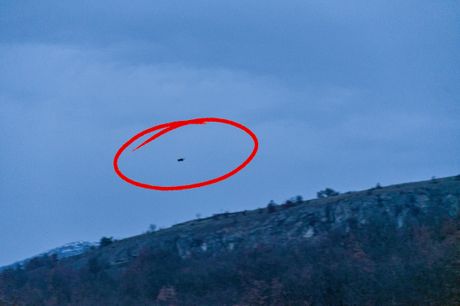 Noć buljine, Sokobanja, Rtanj, Bubo bubo