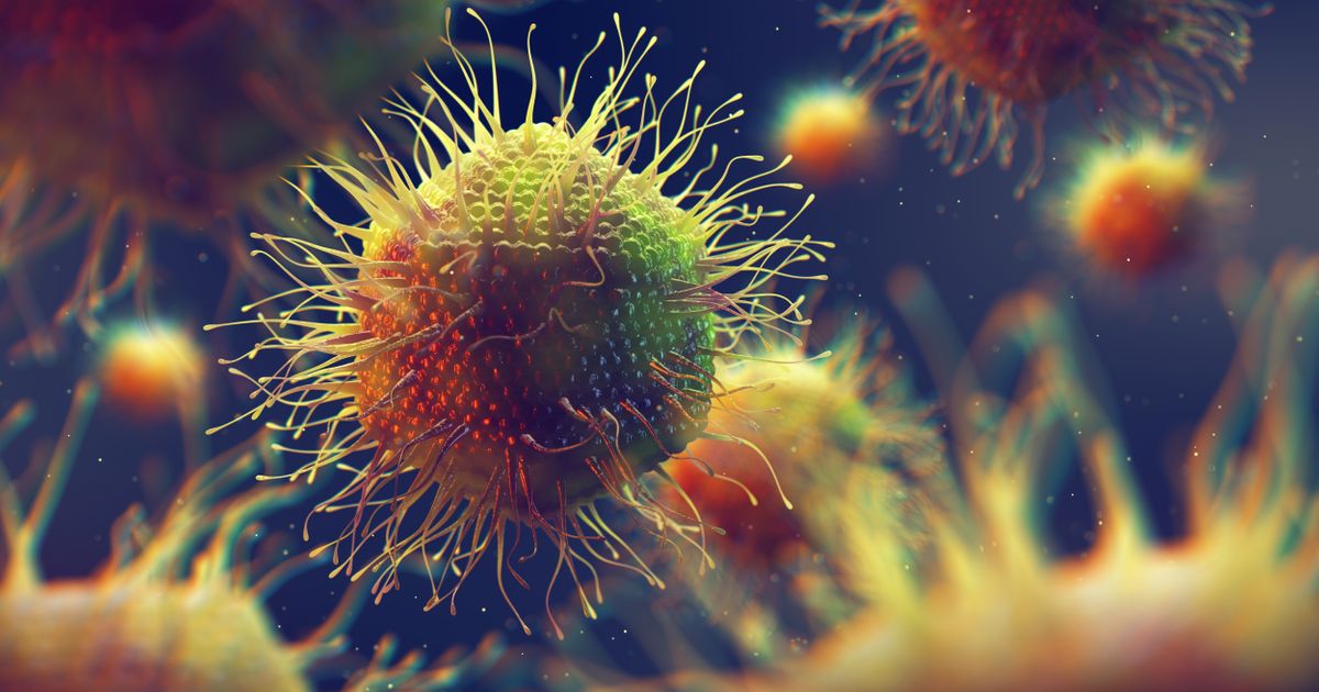 Novootkriveni džinovski virus ima specifičan način preuzimanja kontrole nad domaćinom