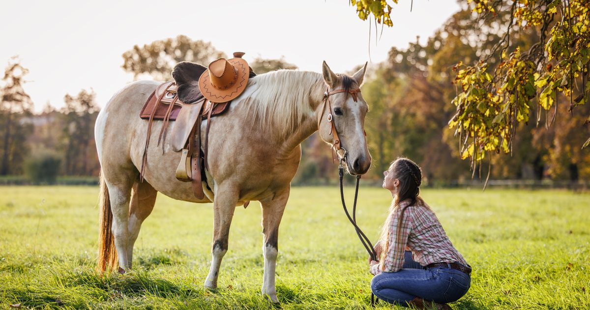 Girl Changes Hair Color, and Her HORSE'S REACTION Goes Viral on TikTok with 2.1 Million Views