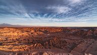 Veliko iznenađenje u najsuvljoj pustinji na svetu: Skriveni život buja u slanom i neplodnom zemljištu Atakame
