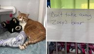 Vlasnik ostavio mačku u azilu uz potresnu PORUKU: Tražio samo JEDNU USLUGU zbog koje svet jeca