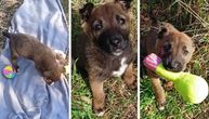 Njegova uteha su odbačene igračke: Štene živi samo, na napuštenoj stanici između dva sela