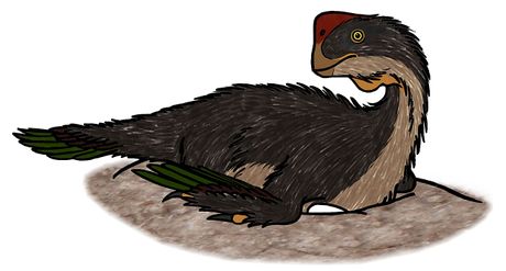oviraptor, gnezdo