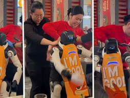 Robot poludeo u kalifornijskom restoranu, odvučen od strane osoblja nakon što je razbio posuđe