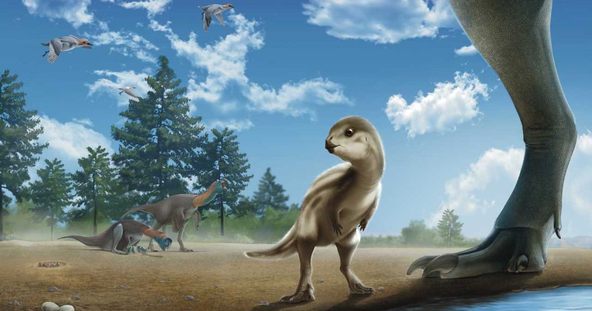 Rendgen fosila otkriva novu vrstu dinosaurusa nazvanu po čuvenom korejskom crtanom filmu