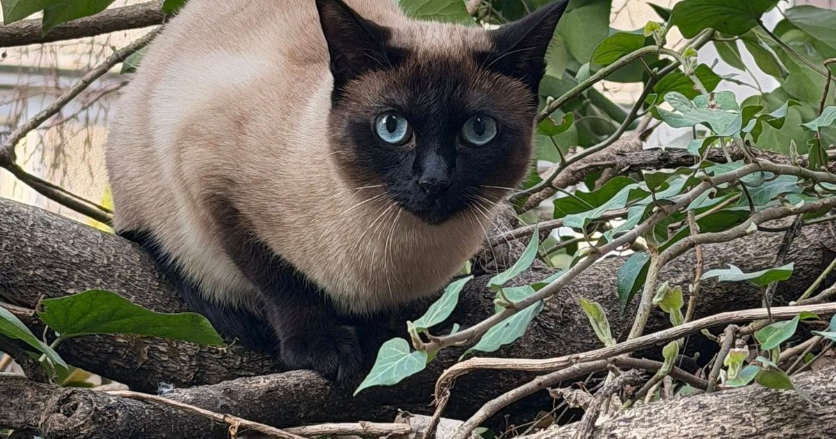 Neuhvatljiva i nepoverljiva 