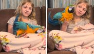 "Ja ću biti vetar ispod tvojih krila": Devojčica svakog dana trči sa papagajem invalidom koji ne može da leti