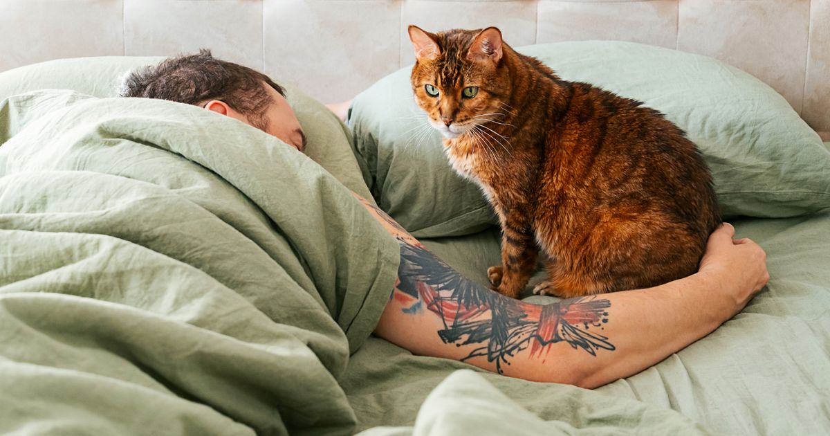 Da li ste srećniji ili umorniji kada spavate pored svog ljubimca: Istraživanja otkrila neočekivane rezultate