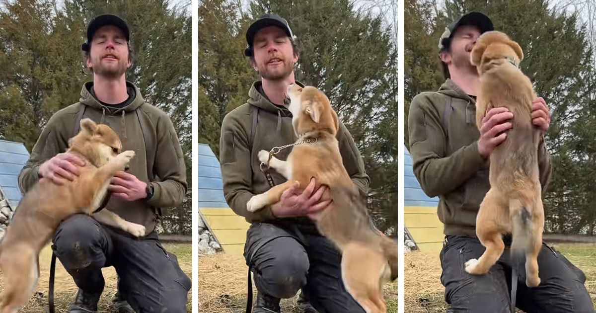 Misteriozna Ursa zbunila svet: Kombinacija rasa od kojih potiče ovaj pas iznenadila čak i stručnjake