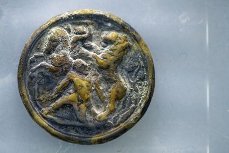 Blago sa dna Nešantela