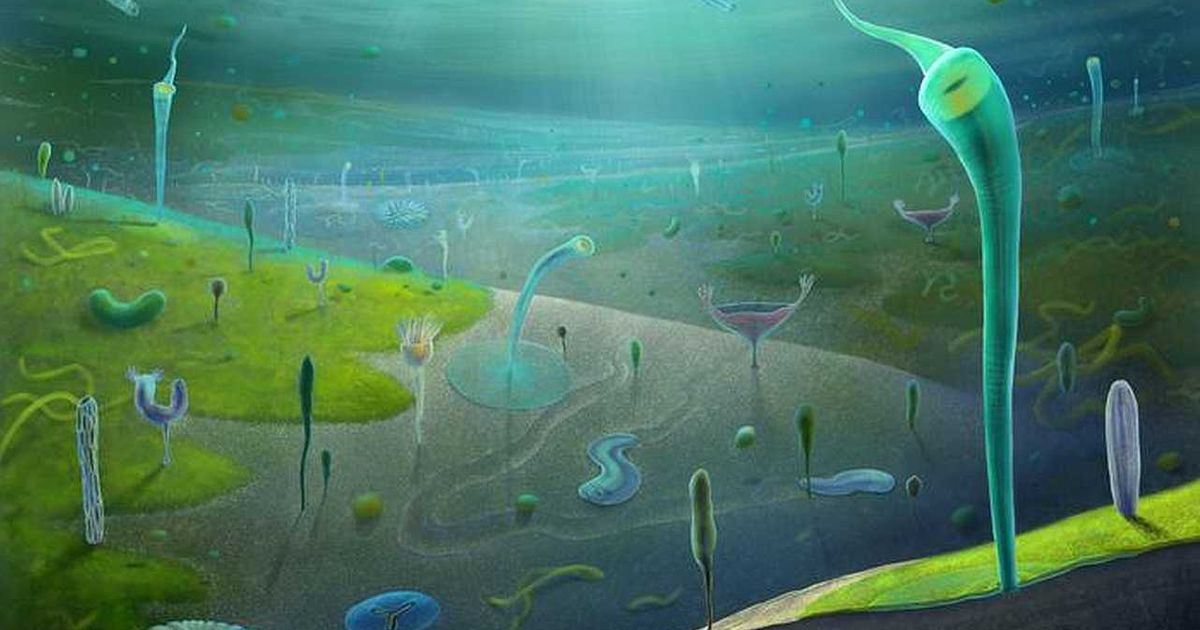 Spektakularno nalazište fosila pomera poreklo složenih životinja dalje u prošlost