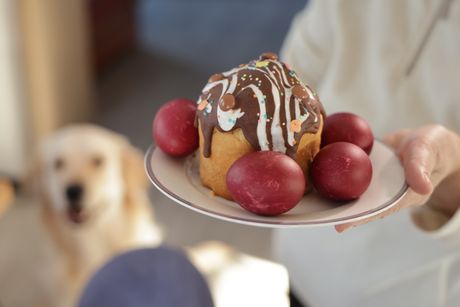 Pas i uskršnji kolači