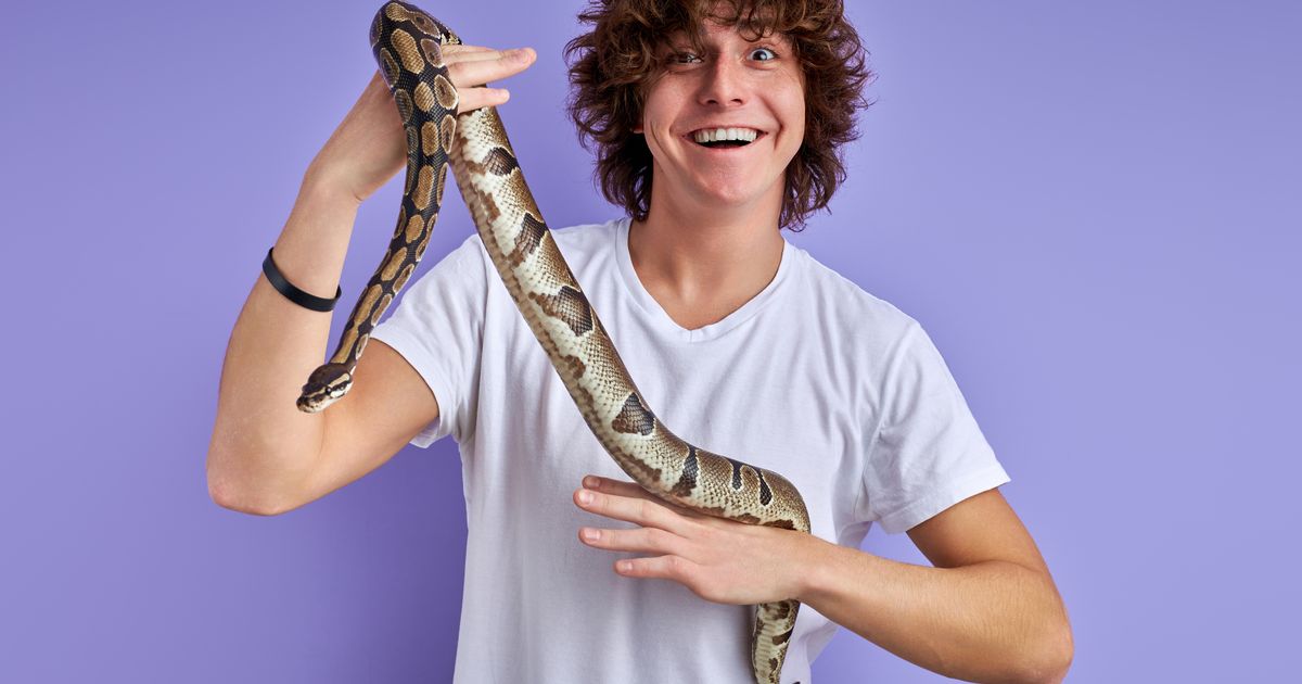 Nema vrtića ni fakulteta, ali je društvo tu: Generacija Z bira nezahtevne ljubimce umesto porodičnih obaveza