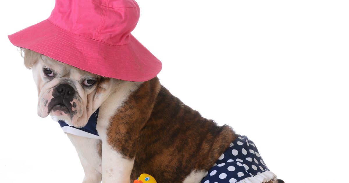 Skandalozna reklama za bikini prenerazila korisnicu Fejsbuka: Umesto bruke stiglo objašnjenje veka!