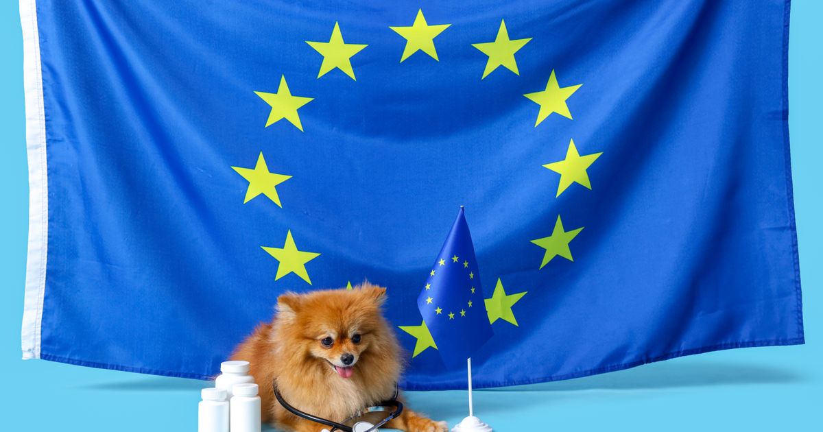 Evropska komisija potvrdila, čeka se zvanična objava Uprave za veterinu: Nema više titar testa u Srbiji!