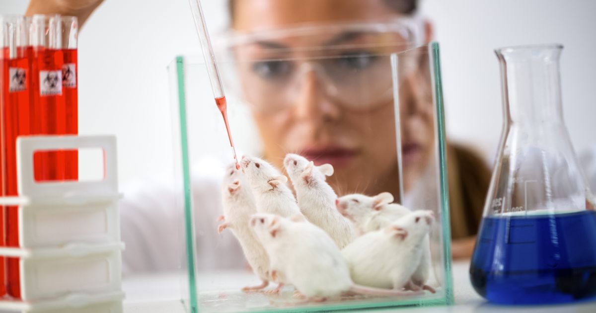 Francuska uporno sprovodi najbolnije eksperimente: Nema pomaka u oslobađanju životinja od patnji