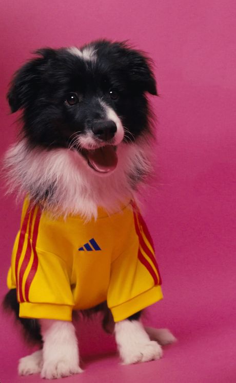 Ljubimci i Adidas