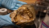 „Nije ni jaje, ni sunđer, ni vanzemaljac…“ REŠENA MISTERIJA! Posle 2 godine utvrđeno poreklo zlatnog jajeta