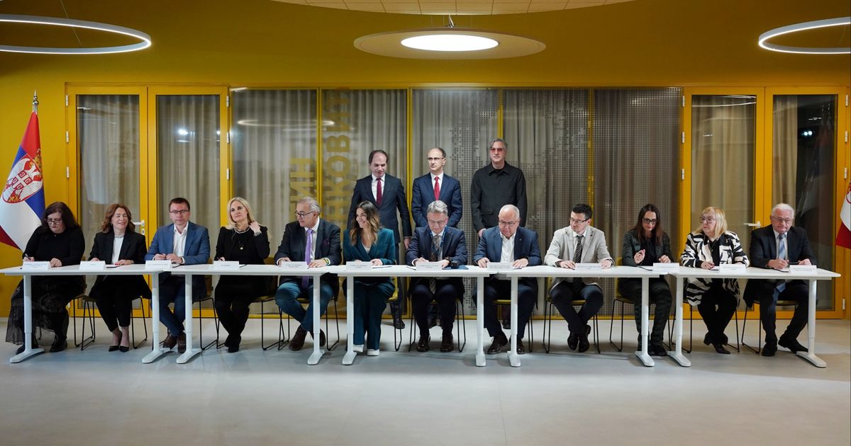 Čadež o pokretanju nacionalnog jezičkog modela: 