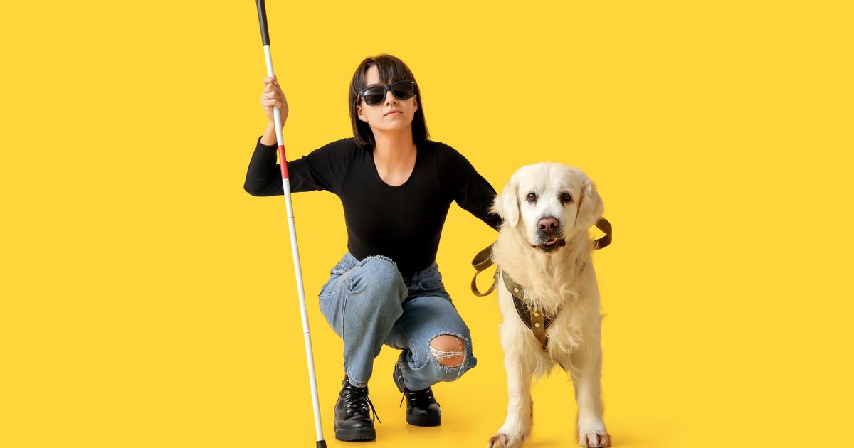 Prvi pas vodič otkriven u Pompeji, u Srbiji predstavljen 2015. godine: Kako danas žive pomoćnici slepih osoba