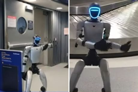 Humanoidni robot Bebop