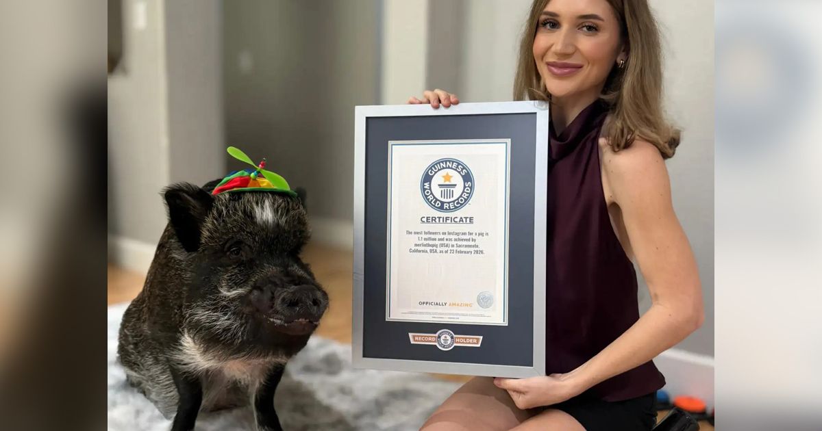 Merlin the Pig 'Gives High-Fives', 'Talks' with Buttons, Slams Doors When Angry, and is Credited with His Owner's Marriage