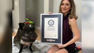 Svinja Merlin "baca pet", priča dugmićima, lupa vratima kad se naljuti i zaslužan je za udaju svoje vlasnice