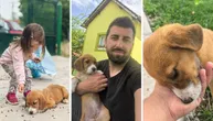 Evo kako danas živi Mila: Uplašeno štene trčalo prugom usred nedođije, Milanova reakcija i dalje se prepričava